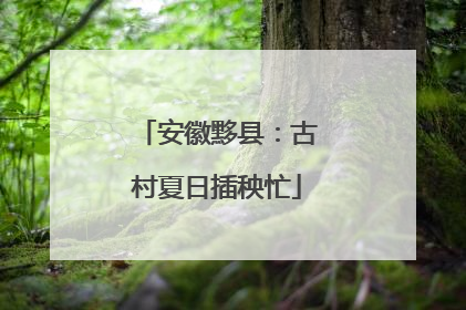 安徽黟县：古村夏日插秧忙