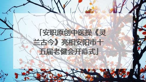 安职原创中医操《灵兰古今》亮相安阳市十五届老健会开幕式