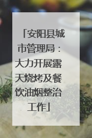 安阳县城市管理局：大力开展露天烧烤及餐饮油烟整治工作