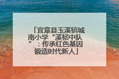 宜章县玉溪镇城南小学“溪韧中队”：传承红色基因 锻造时代新人