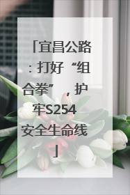 宜昌公路：打好“组合拳”，护牢S254安全生命线