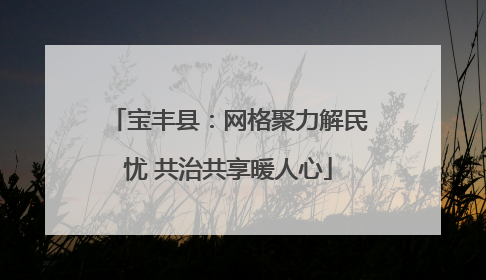 宝丰县：网格聚力解民忧 共治共享暖人心