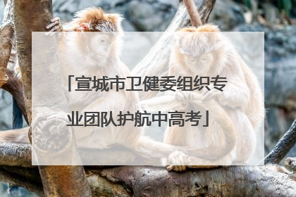 宣城市卫健委组织专业团队护航中高考