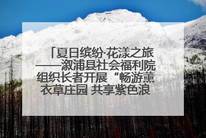 夏日缤纷·花漾之旅——溆浦县社会福利院组织长者开展“畅游薰衣草庄园 共享紫色浪漫”户外活动