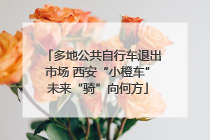 多地公共自行车退出市场 西安“小橙车”未来“骑”向何方