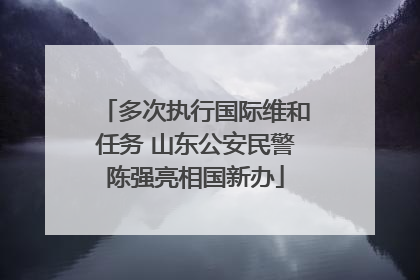 多次执行国际维和任务 山东公安民警陈强亮相国新办