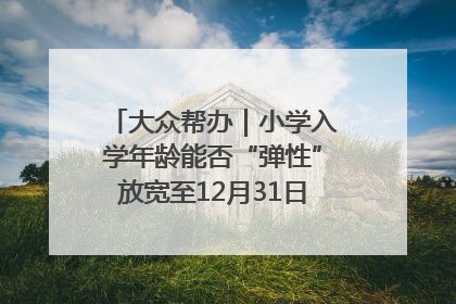 大众帮办｜小学入学年龄能否“弹性”放宽至12月31日？有地方已在探索