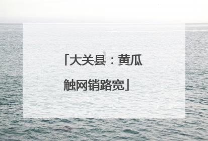 大关县：黄瓜触网销路宽