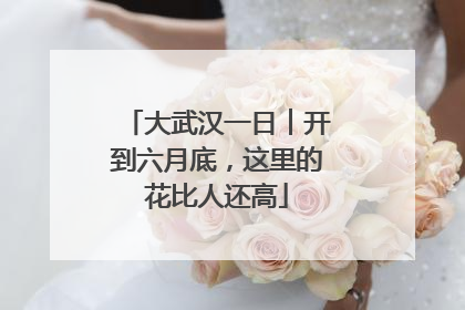 大武汉一日︱开到六月底，这里的花比人还高