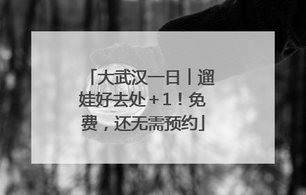 大武汉一日︱遛娃好去处＋1！免费，还无需预约