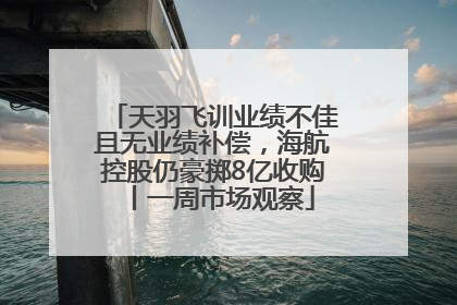 天羽飞训业绩不佳且无业绩补偿，海航控股仍豪掷8亿收购丨一周市场观察