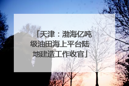 天津：渤海亿吨级油田海上平台陆地建造工作收官