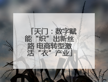 天门：数字赋能“织”出新丝路 电商转型激活“衣”产业