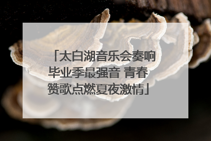 太白湖音乐会奏响毕业季最强音 青春赞歌点燃夏夜激情