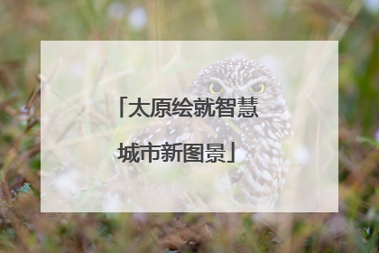 太原绘就智慧城市新图景
