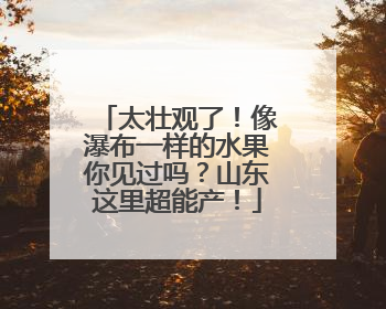 太壮观了！像瀑布一样的水果你见过吗？山东这里超能产！
