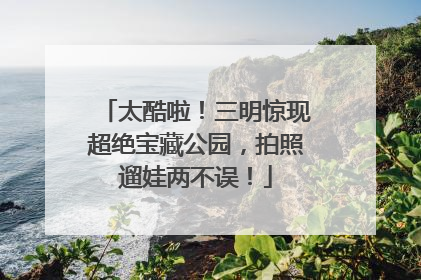 太酷啦！三明惊现超绝宝藏公园，拍照遛娃两不误！