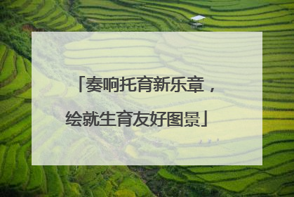 奏响托育新乐章，绘就生育友好图景