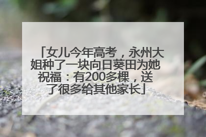女儿今年高考，永州大姐种了一块向日葵田为她祝福：有200多棵，送了很多给其他家长