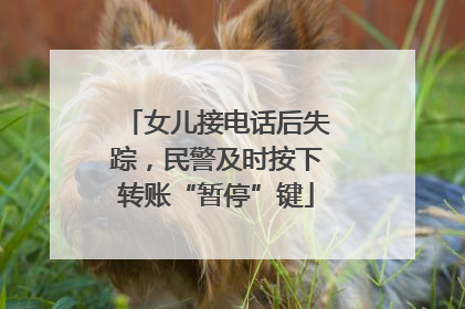 女儿接电话后失踪，民警及时按下转账“暂停”键