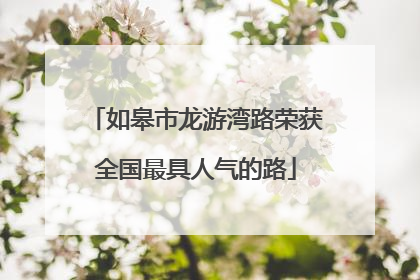 如皋市龙游湾路荣获全国最具人气的路