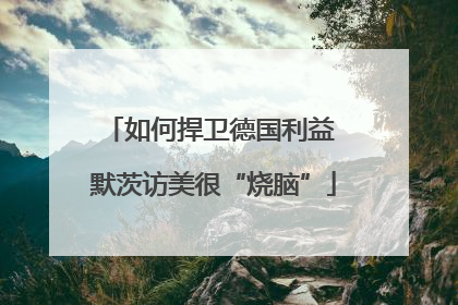 如何捍卫德国利益 默茨访美很“烧脑”