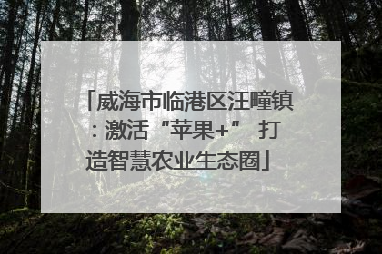 威海市临港区汪疃镇：激活“苹果+” 打造智慧农业生态圈