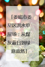娄底市娄星区洪水单屋场：从煤灰蔽日到绿意盎然