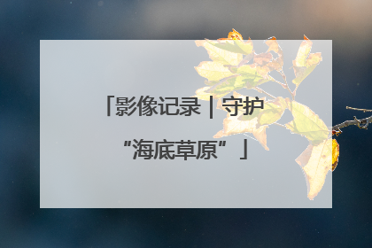 影像记录｜守护“海底草原”