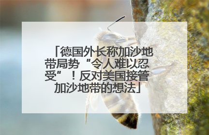 德国外长称加沙地带局势“令人难以忍受”！反对美国接管加沙地带的想法