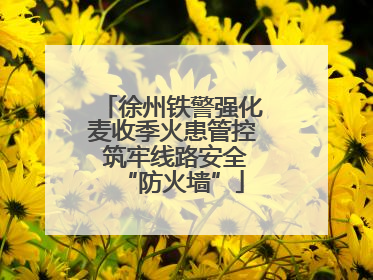 徐州铁警强化麦收季火患管控 筑牢线路安全“防火墙”