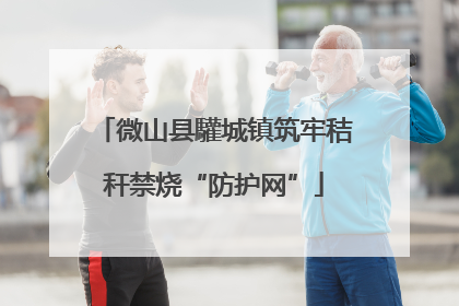 微山县驩城镇筑牢秸秆禁烧“防护网”