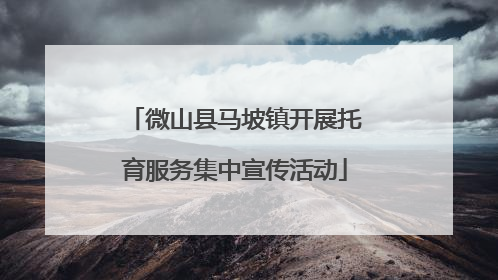 微山县马坡镇开展托育服务集中宣传活动