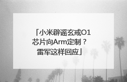 小米辟谣玄戒O1芯片向Arm定制？雷军这样回应