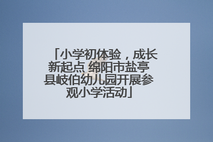 小学初体验，成长新起点 绵阳市盐亭县岐伯幼儿园开展参观小学活动