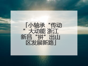小轴承“传动”大动能 浙江新昌“拼”出山区发展新路