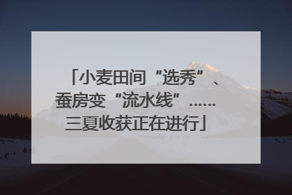 小麦田间“选秀”、蚕房变“流水线”……三夏收获正在进行