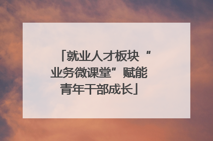就业人才板块“业务微课堂”赋能青年干部成长