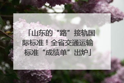 山东的“路”接轨国际标准！全省交通运输标准“成绩单”出炉