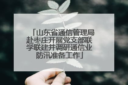 山东省通信管理局赴枣庄开展党支部联学联建并调研通信业防汛准备工作
