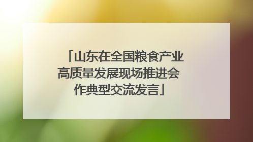 山东在全国粮食产业高质量发展现场推进会作典型交流发言