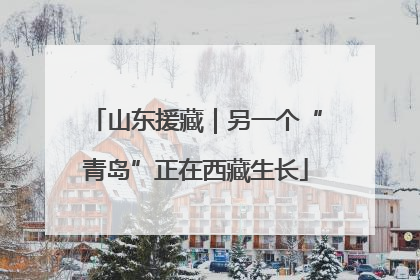 山东援藏｜另一个“青岛”正在西藏生长
