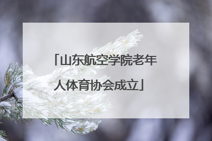 山东航空学院老年人体育协会成立