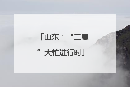山东：“三夏”大忙进行时