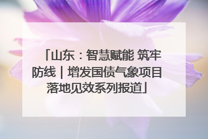 山东：智慧赋能 筑牢防线｜增发国债气象项目落地见效系列报道