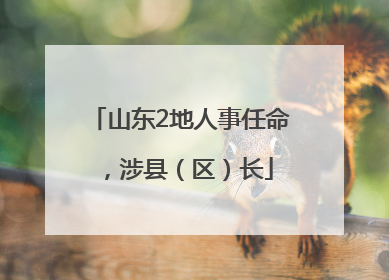 山东2地人事任命，涉县（区）长
