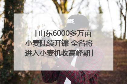 山东6000多万亩小麦陆续开镰 全省将进入小麦机收高峰期