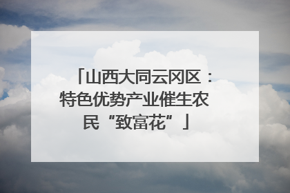 山西大同云冈区：特色优势产业催生农民“致富花”