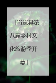 岢岚县第八届乡村文化旅游季开幕