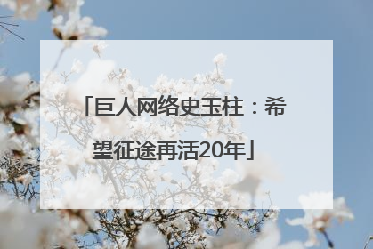 巨人网络史玉柱：希望征途再活20年